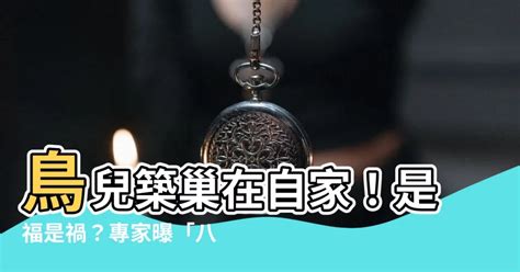 屬龍男名字 鳥在家裡築巢